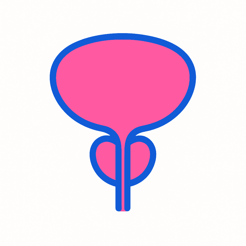 Prostate