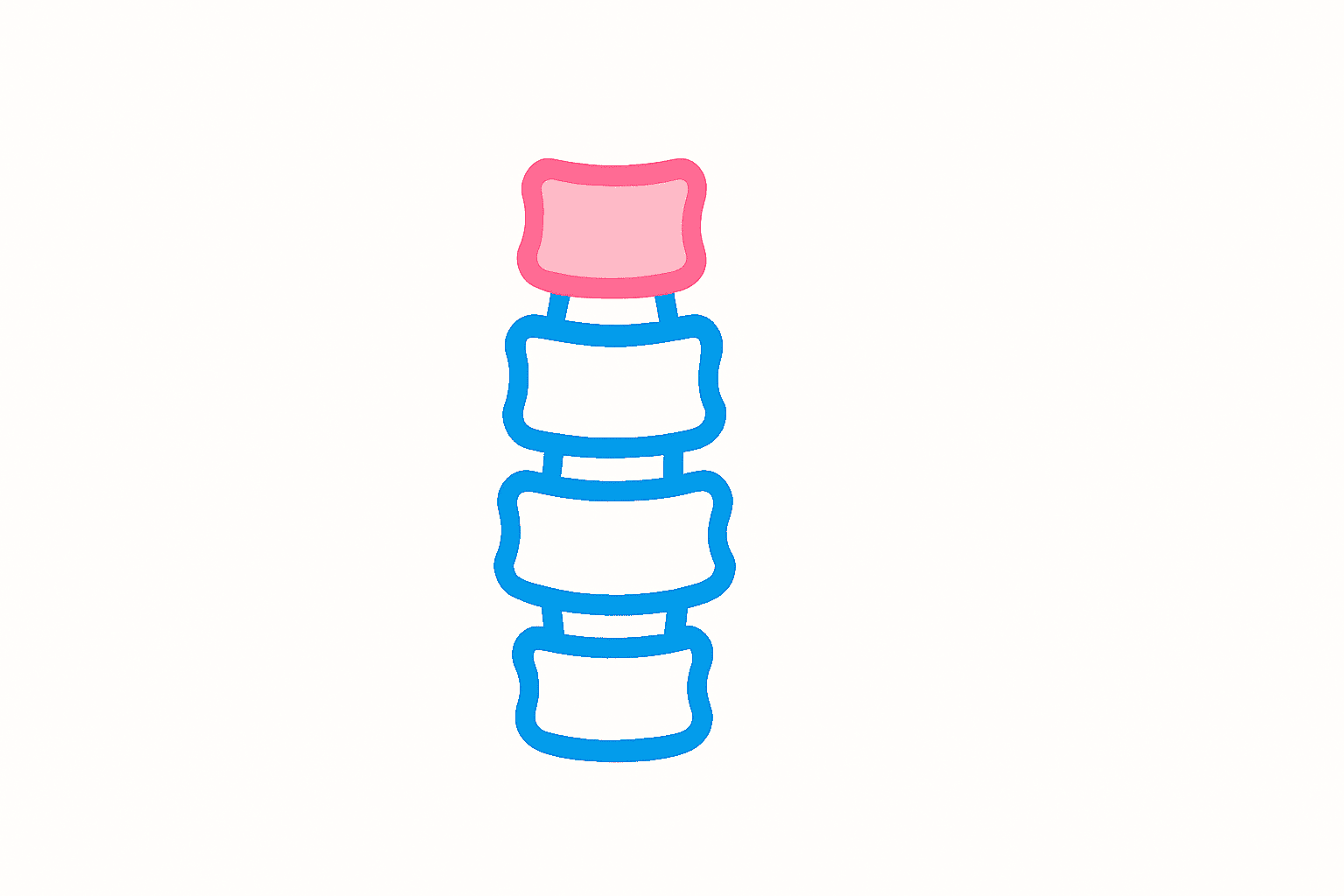 Spine