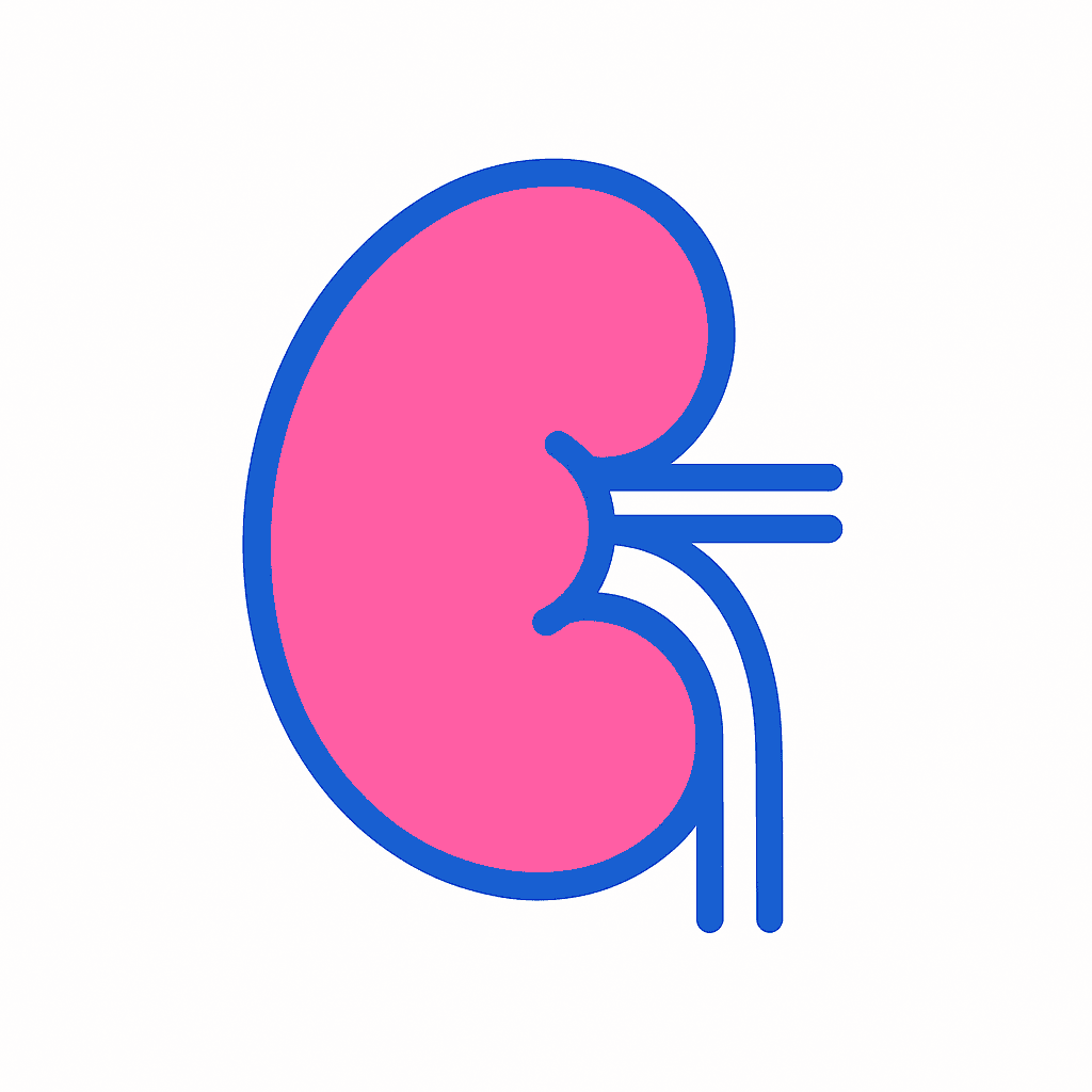 Kidney