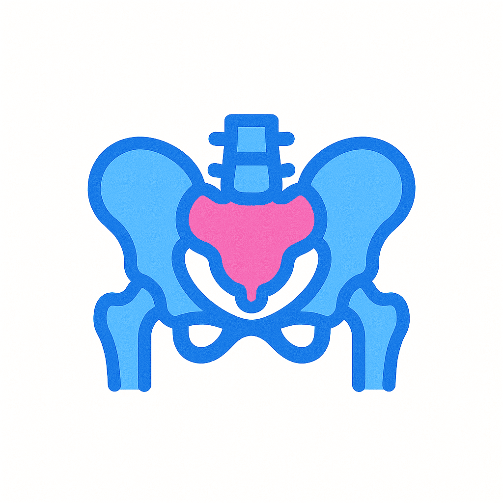 Pelvic