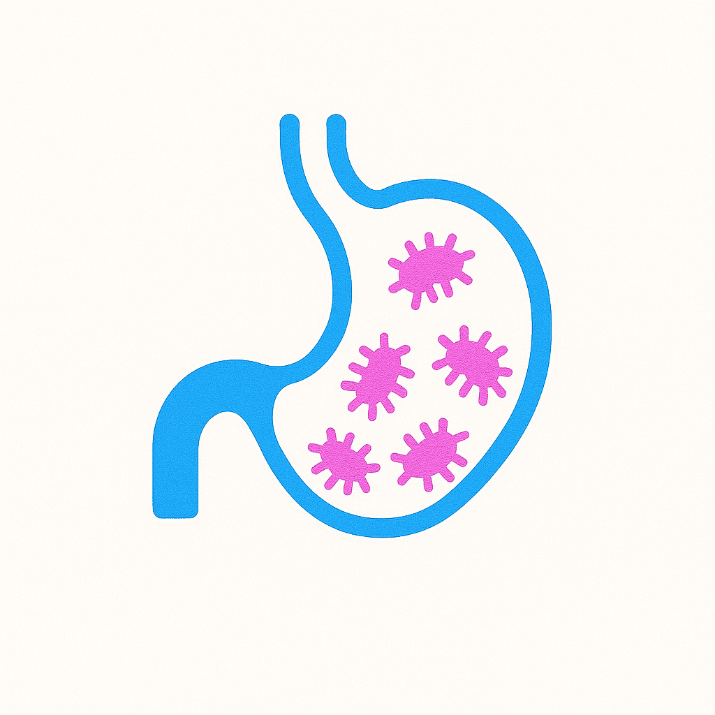 Gut
