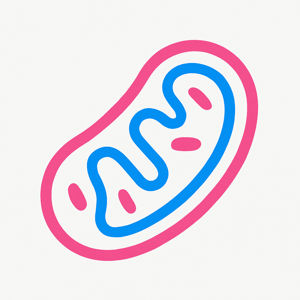 Mitochondria