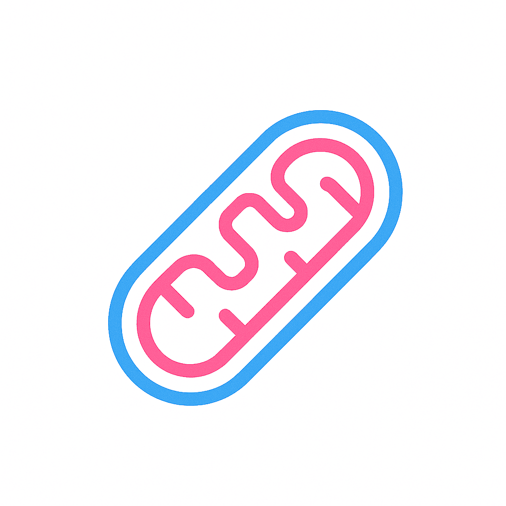 Mitochondria